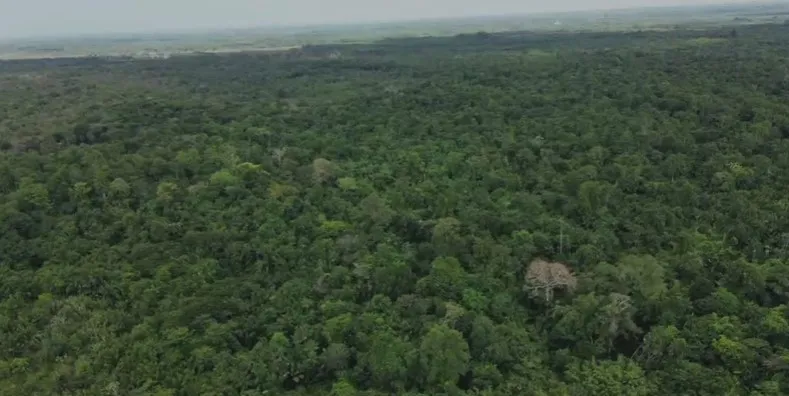 Sítio em Salvaterra/Pará — Ref 3KJY27 — Imagem 10