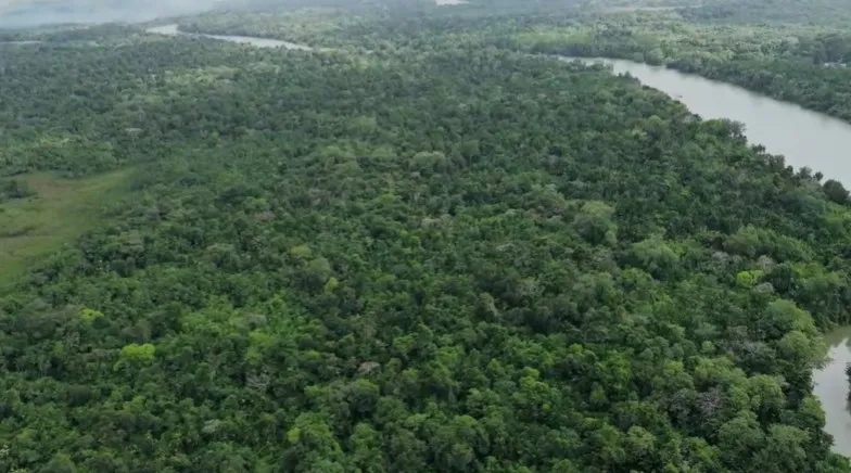 Sítio em Salvaterra/Pará — Ref 3KJY27 — Imagem 2