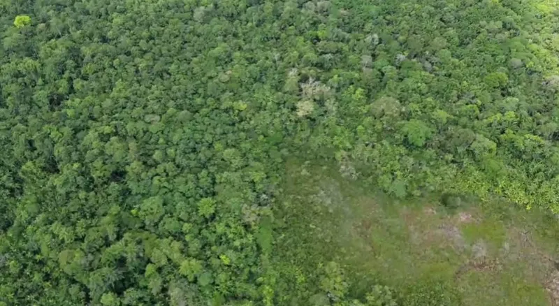 Sítio em Salvaterra/Pará — Ref 3KJY27 — Imagem 8