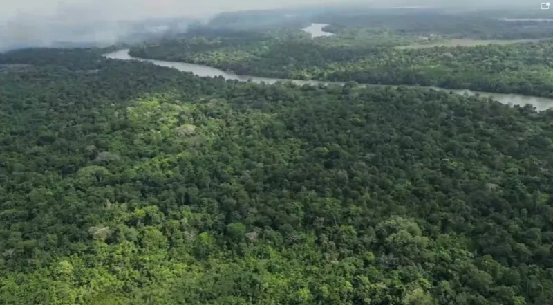 Sítio em Salvaterra/Pará — Ref 3KJY27 — Imagem 7