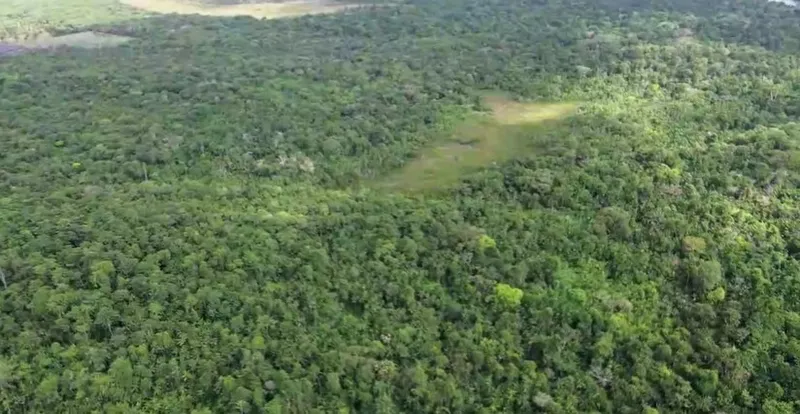 Sítio em Salvaterra/Pará — Ref 3KJY27 — Imagem 6