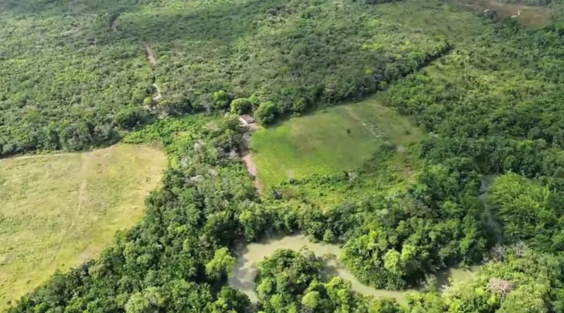 Sítio em Salvaterra/Pará — Ref 3KJY27 — Imagem 3