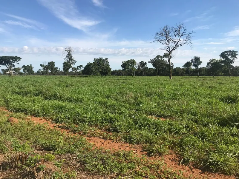Fazenda em Formosa/Goiás — Ref HAL1Q2 — Imagem 4