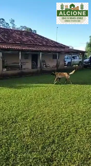 Fazenda em Rio Verde/Goiás — Ref 2KE1IJ — Imagem 10