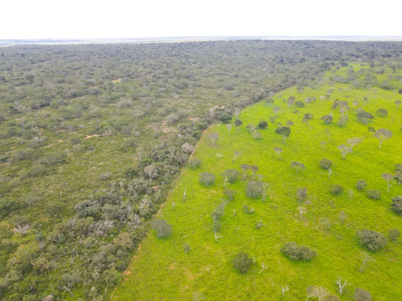 Fazenda em Coração de Jesus/Minas Gerais — Ref 6HO92X — Imagem 12