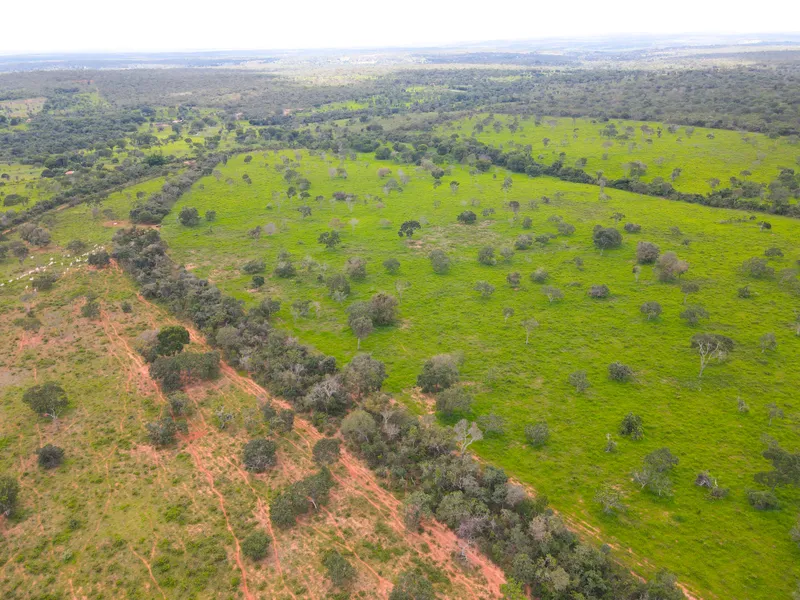 Fazenda em Coração de Jesus/Minas Gerais — Ref 6HO92X — Imagem 10