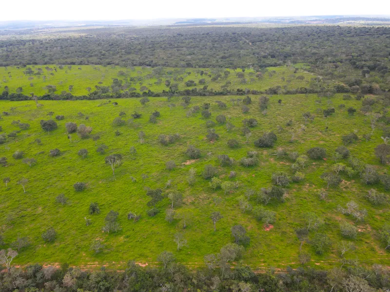 Fazenda em Coração de Jesus/Minas Gerais — Ref 6HO92X — Imagem 13