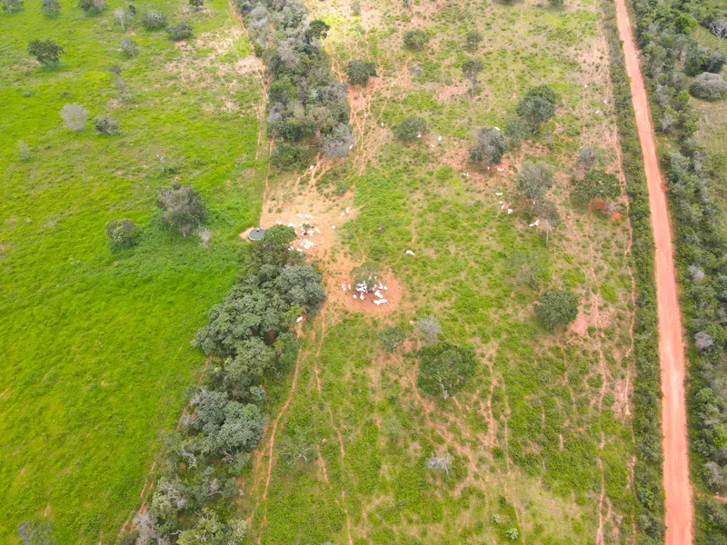 Fazenda em Coração de Jesus/Minas Gerais — Ref 6HO92X — Imagem 19