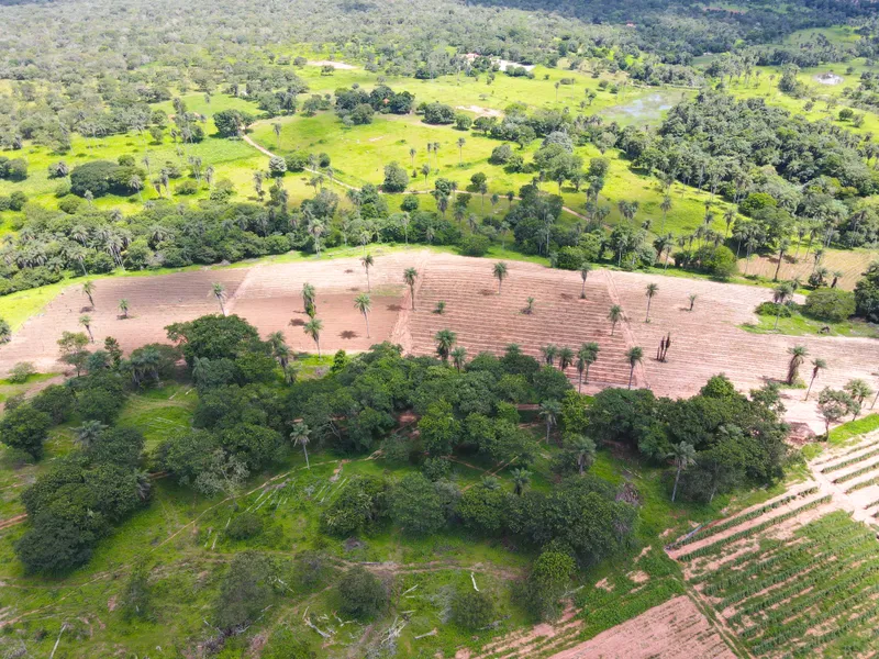 Fazenda em Coração de Jesus/Minas Gerais — Ref 6HO92X — Imagem 2