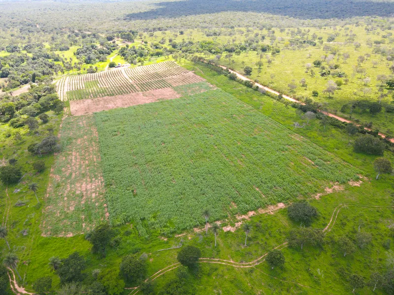 Fazenda em Coração de Jesus/Minas Gerais — Ref 6HO92X — Imagem 4