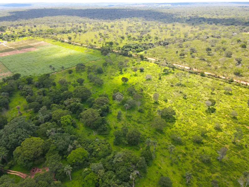 Fazenda em Coração de Jesus/Minas Gerais — Ref 6HO92X — Imagem 6