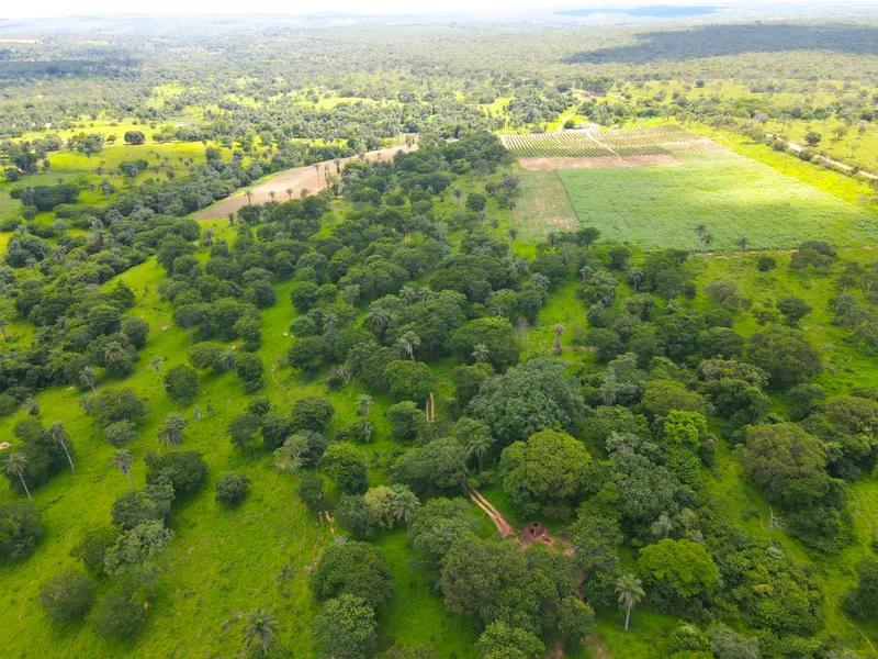 Fazenda em Coração de Jesus/Minas Gerais — Ref 6HO92X — Imagem 8