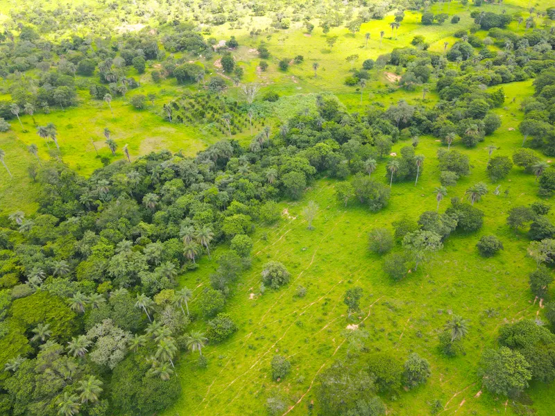 Fazenda em Coração de Jesus/Minas Gerais — Ref 6HO92X — Imagem 21