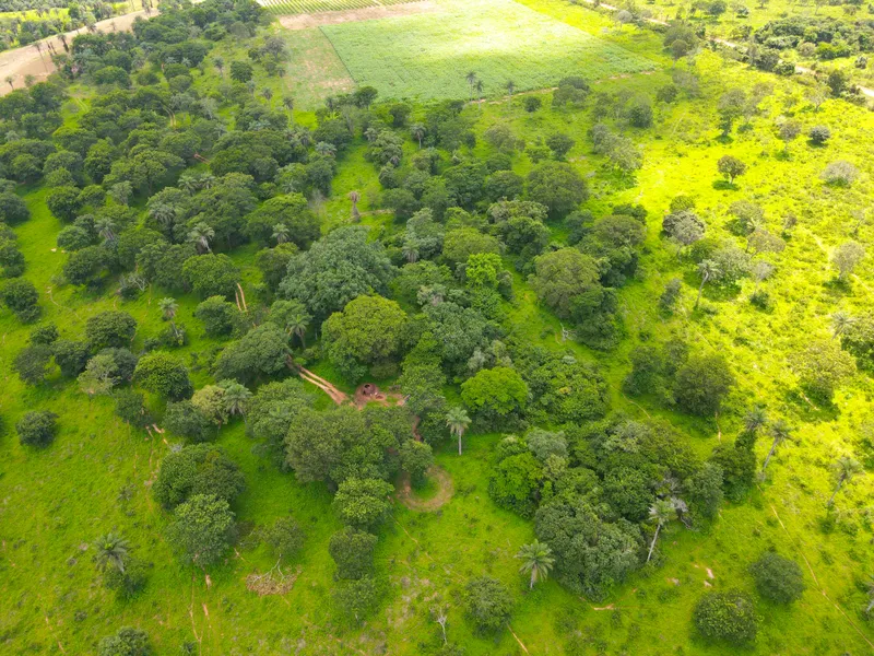 Fazenda em Coração de Jesus/Minas Gerais — Ref 6HO92X — Imagem 22