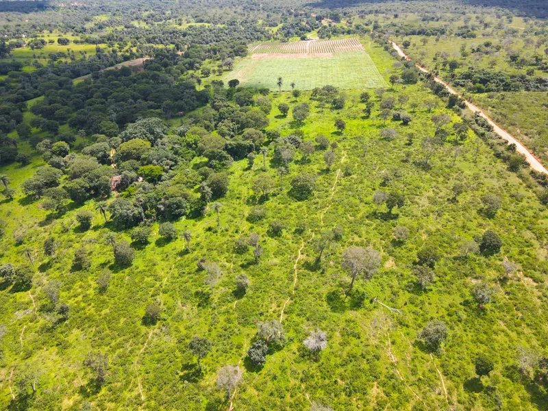 Fazenda em Coração de Jesus/Minas Gerais — Ref 6HO92X — Imagem 7