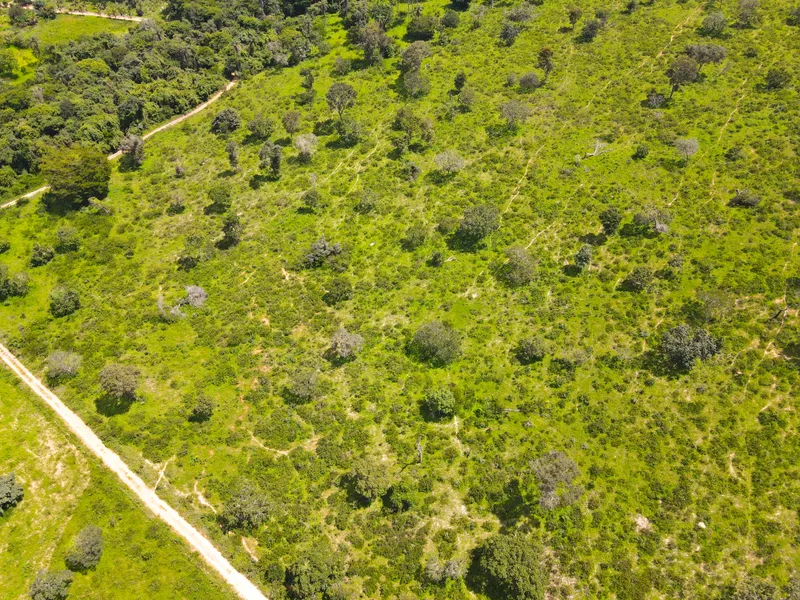 Fazenda em Coração de Jesus/Minas Gerais — Ref 6HO92X — Imagem 23