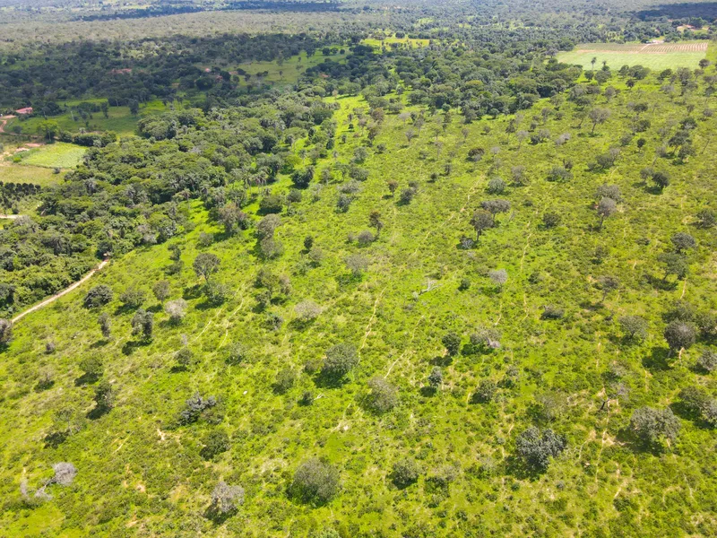 Fazenda em Coração de Jesus/Minas Gerais — Ref 6HO92X — Imagem 11