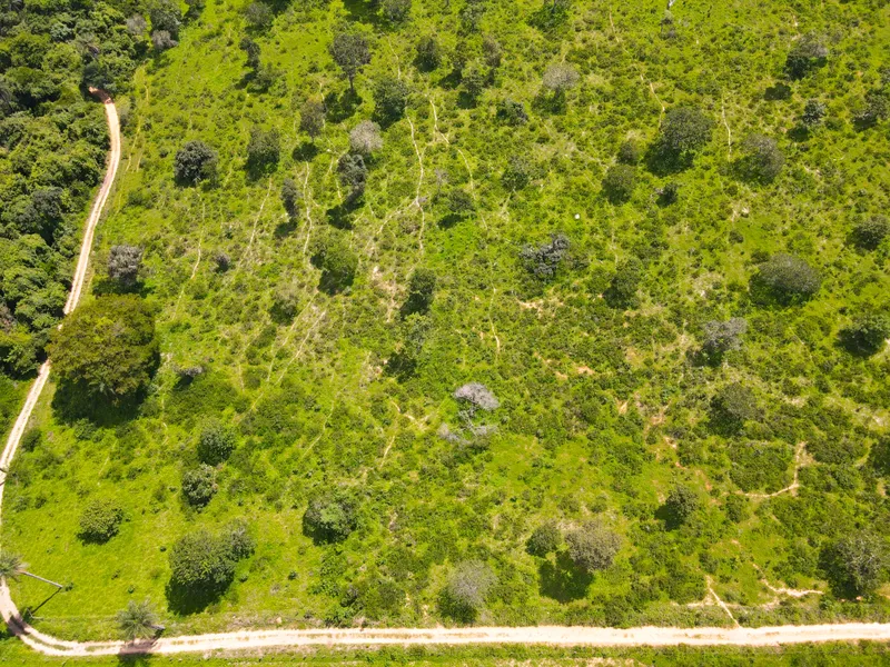 Fazenda em Coração de Jesus/Minas Gerais — Ref 6HO92X — Imagem 25