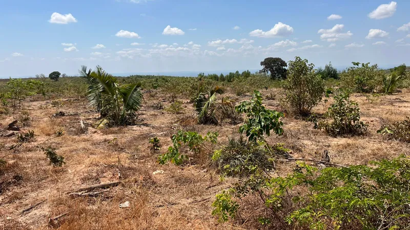 Fazenda em João Pinheiro/Minas Gerais — Ref G34B4O — Imagem 15