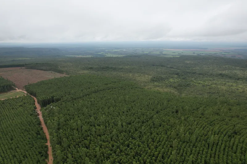 Fazenda em João Pinheiro/Minas Gerais — Ref G34B4O — Imagem 3