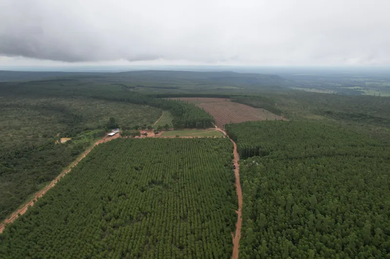 Fazenda em João Pinheiro/Minas Gerais — Ref G34B4O — Imagem 4