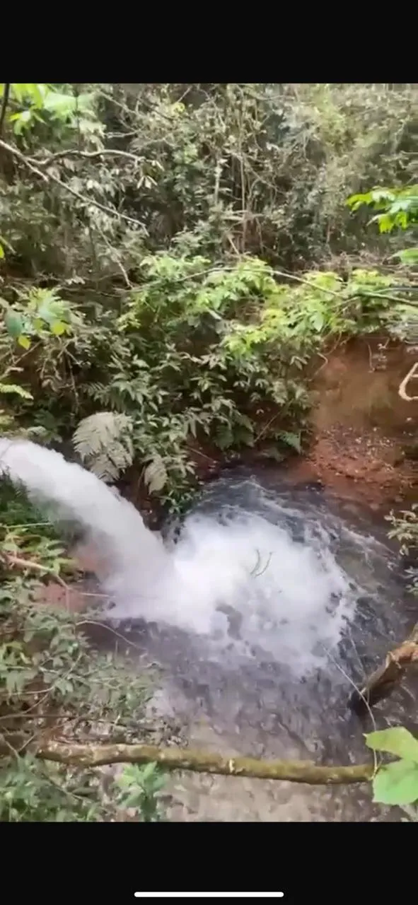 Fazenda em Terra Rica/Paraná — Ref BBVA9Q — Imagem 11