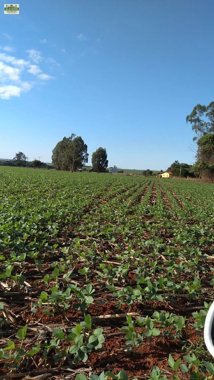 Sítio em Perolândia/Goiás — Ref 9V8S2L — Imagem 5