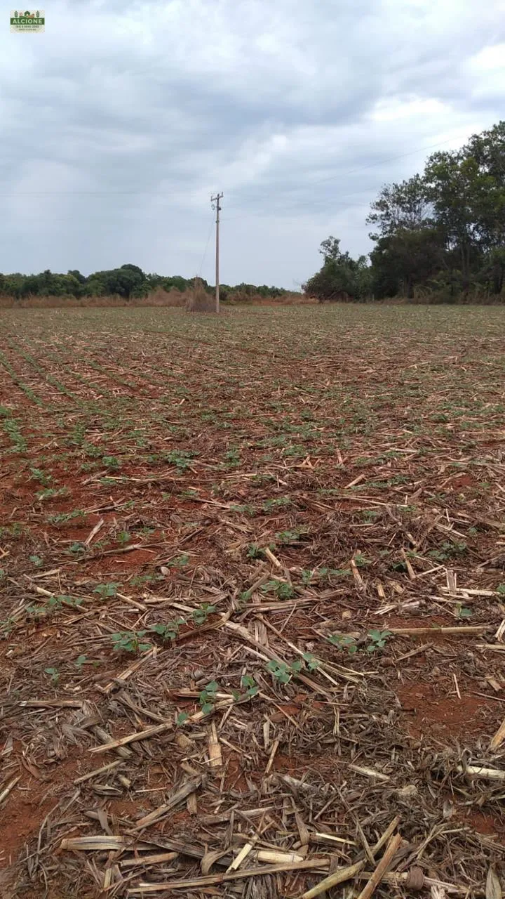 Sítio em Perolândia/Goiás — Ref 9V8S2L — Imagem 6