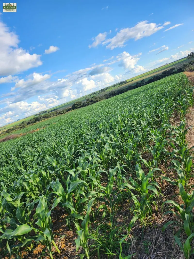 Sítio em Perolândia/Goiás — Ref 9V8S2L — Imagem 10