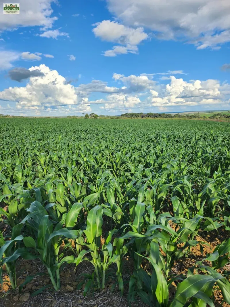 Sítio em Perolândia/Goiás — Ref 9V8S2L — Imagem 11