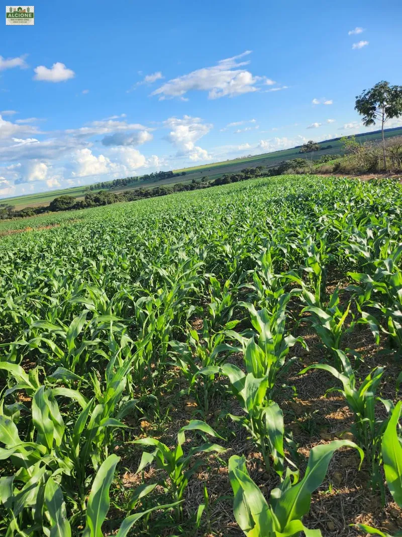 Sítio em Perolândia/Goiás — Ref 9V8S2L — Imagem 13