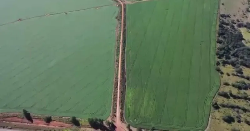 Fazenda em São João d'Aliança/Goiás — Ref WHMTVJ — Imagem 4