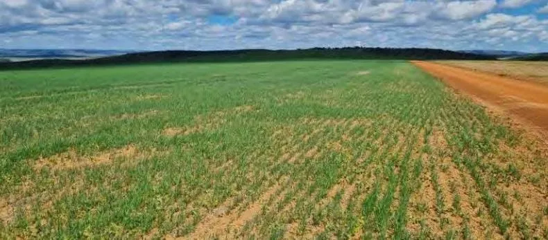 Fazenda em São João d'Aliança/Goiás — Ref 7OMXI6 — Imagem 3