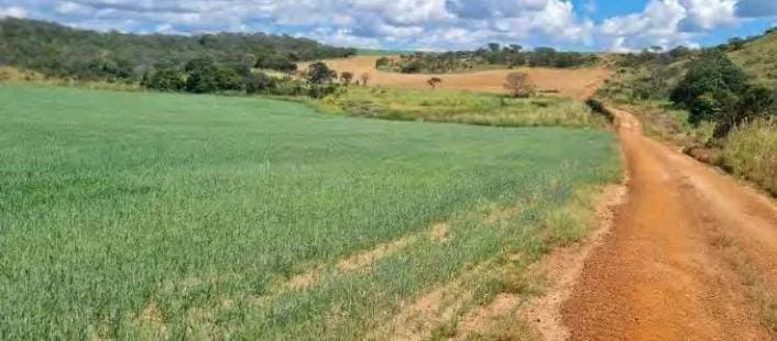 Fazenda em São João d'Aliança/Goiás — Ref 7OMXI6 — Imagem 6
