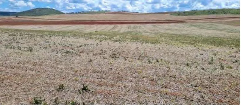 Fazenda em São João d'Aliança/Goiás — Ref 7OMXI6 — Imagem 8