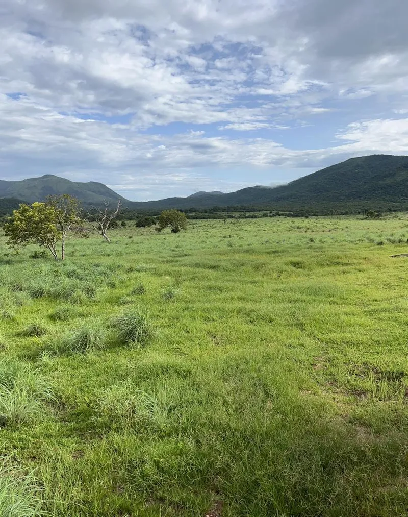 Fazenda em Monte Alegre de Goiás/Goiás — Ref TJ0282 — Imagem 2