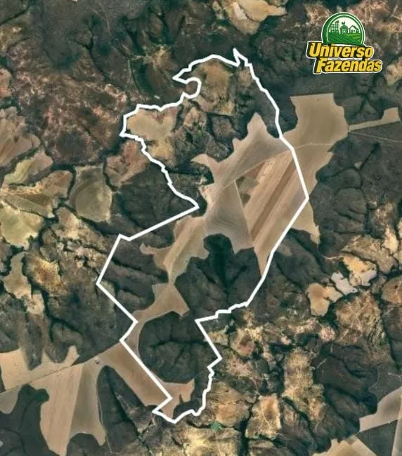 Fazenda em Buritis/Minas Gerais — Ref R2SYT3 — Imagem 5