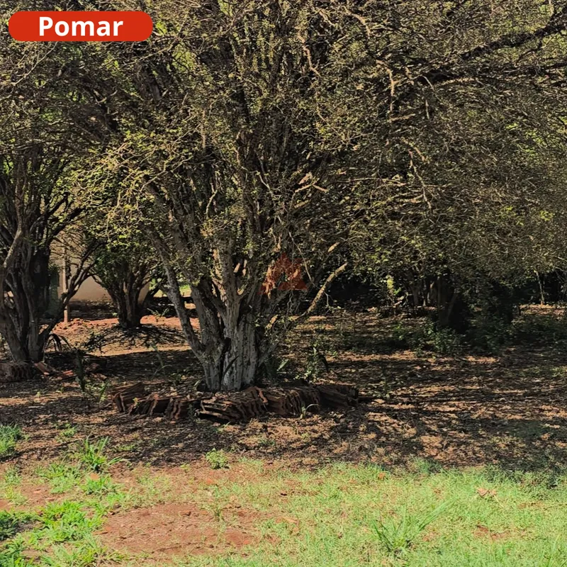 Rancho em Santa Rita do Passa Quatro/São Paulo — Ref N6CTYE — Imagem 18