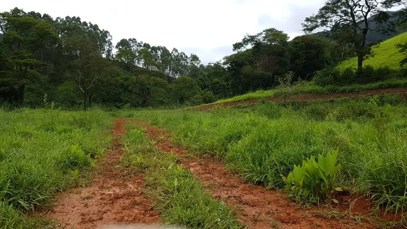 Chácara em Lima Duarte/Minas Gerais — Ref RSB8BK — Imagem 20