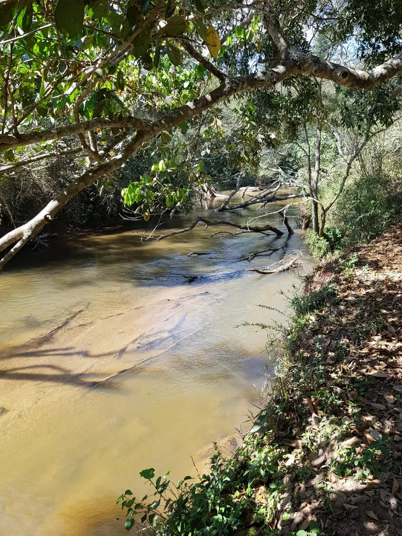 Chácara em Lima Duarte/Minas Gerais — Ref RSB8BK — Imagem 12
