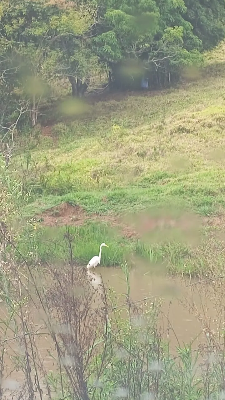 Chácara em Lima Duarte/Minas Gerais — Ref RSB8BK — Imagem 23