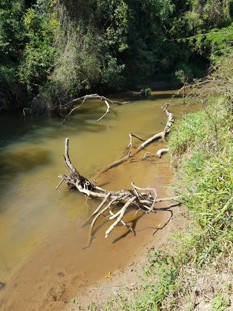 Chácara em Lima Duarte/Minas Gerais — Ref RSB8BK — Imagem 13