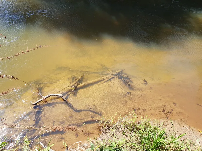 Chácara em Lima Duarte/Minas Gerais — Ref RSB8BK — Imagem 14