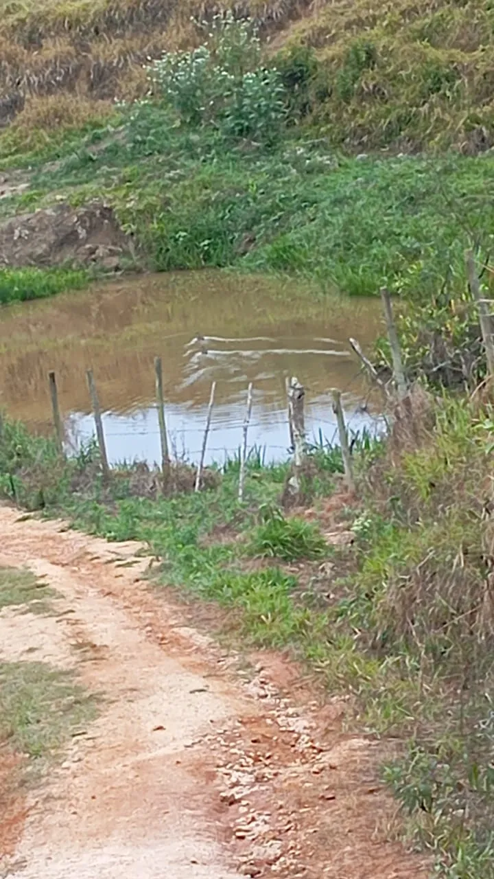 Chácara em Lima Duarte/Minas Gerais — Ref RSB8BK — Imagem 19