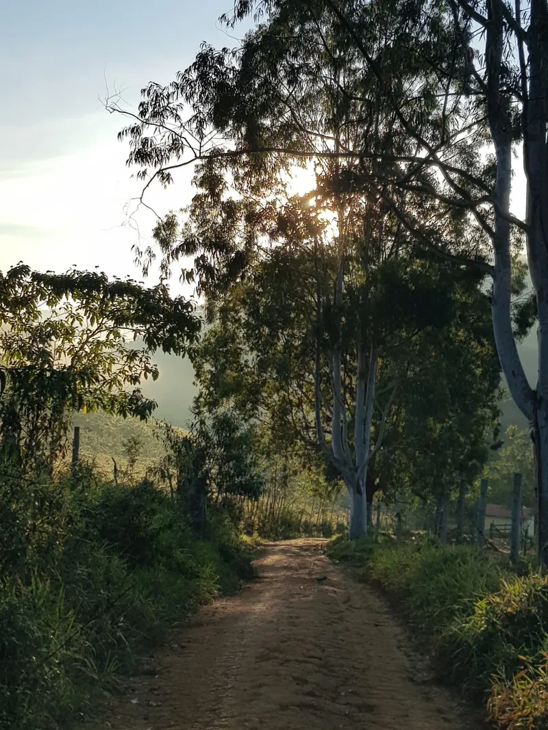 Chácara em Lima Duarte/Minas Gerais — Ref RSB8BK — Imagem 22
