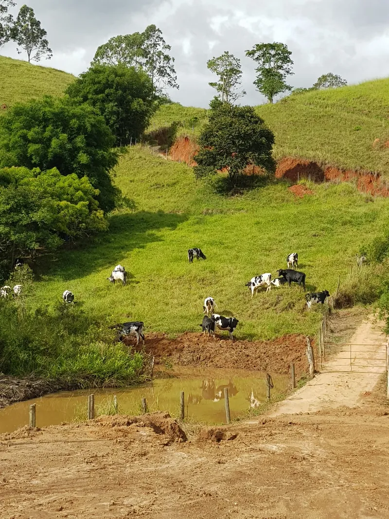 Chácara em Lima Duarte/Minas Gerais — Ref RSB8BK — Imagem 5