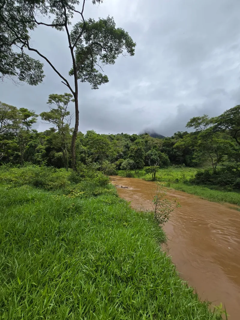 Chácara em Lima Duarte/Minas Gerais — Ref RSB8BK — Imagem 17