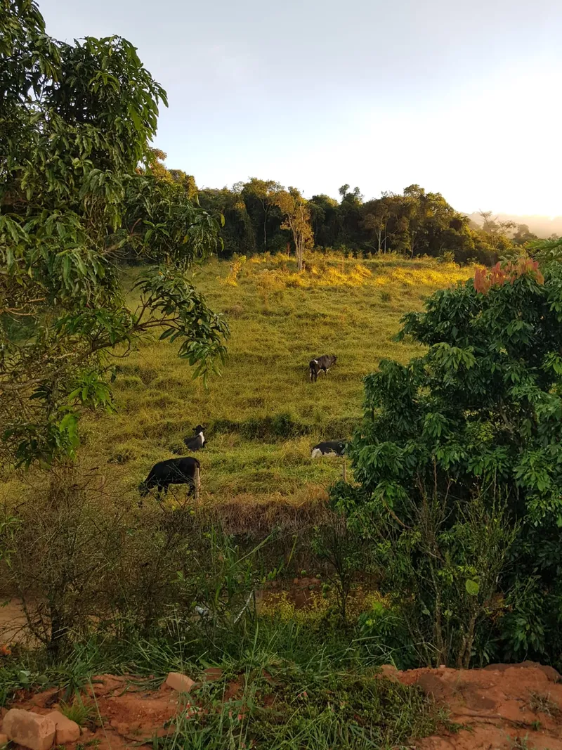 Chácara em Lima Duarte/Minas Gerais — Ref RSB8BK — Imagem 6