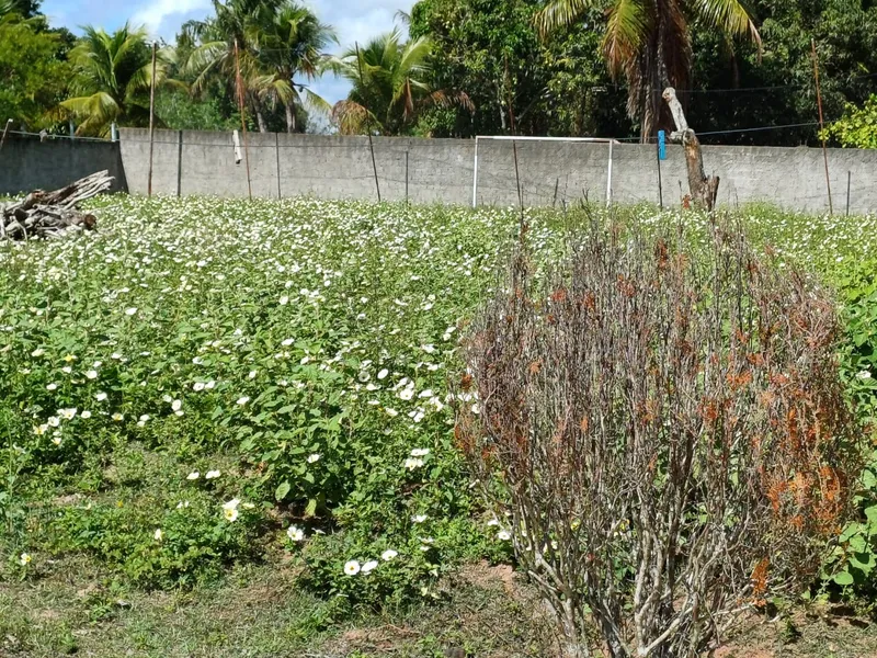 Chácara em Natal/Rio Grande do Norte — Ref QAYHNG — Imagem 5