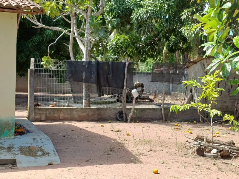 Chácara em Natal/Rio Grande do Norte — Ref QAYHNG — Imagem 4